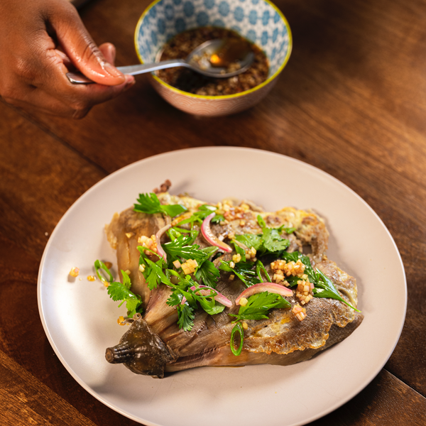 Omelette d'aubergine et haché Féroce