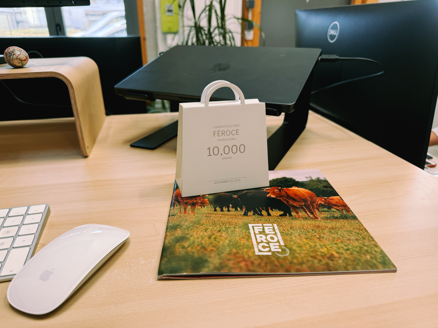 Chapitre 36 - 10 000 commandes. Zéro pub. Zéro levée. 100% organique.