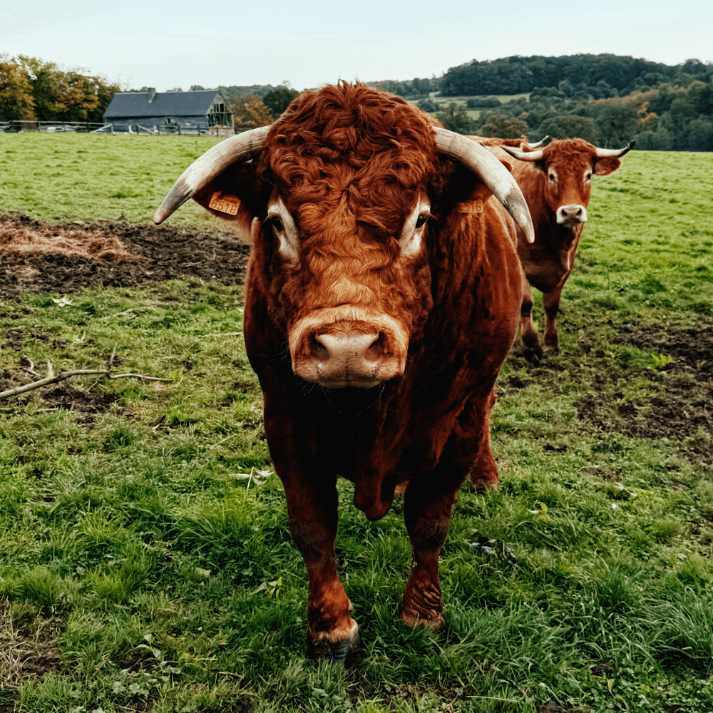 Chapitre 7 - Ce qui se produit quand des gens passionnés se réunissent - Féroce