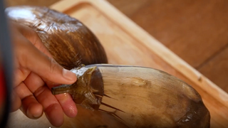 Inciser légèrement de façon circulaire à la bas...