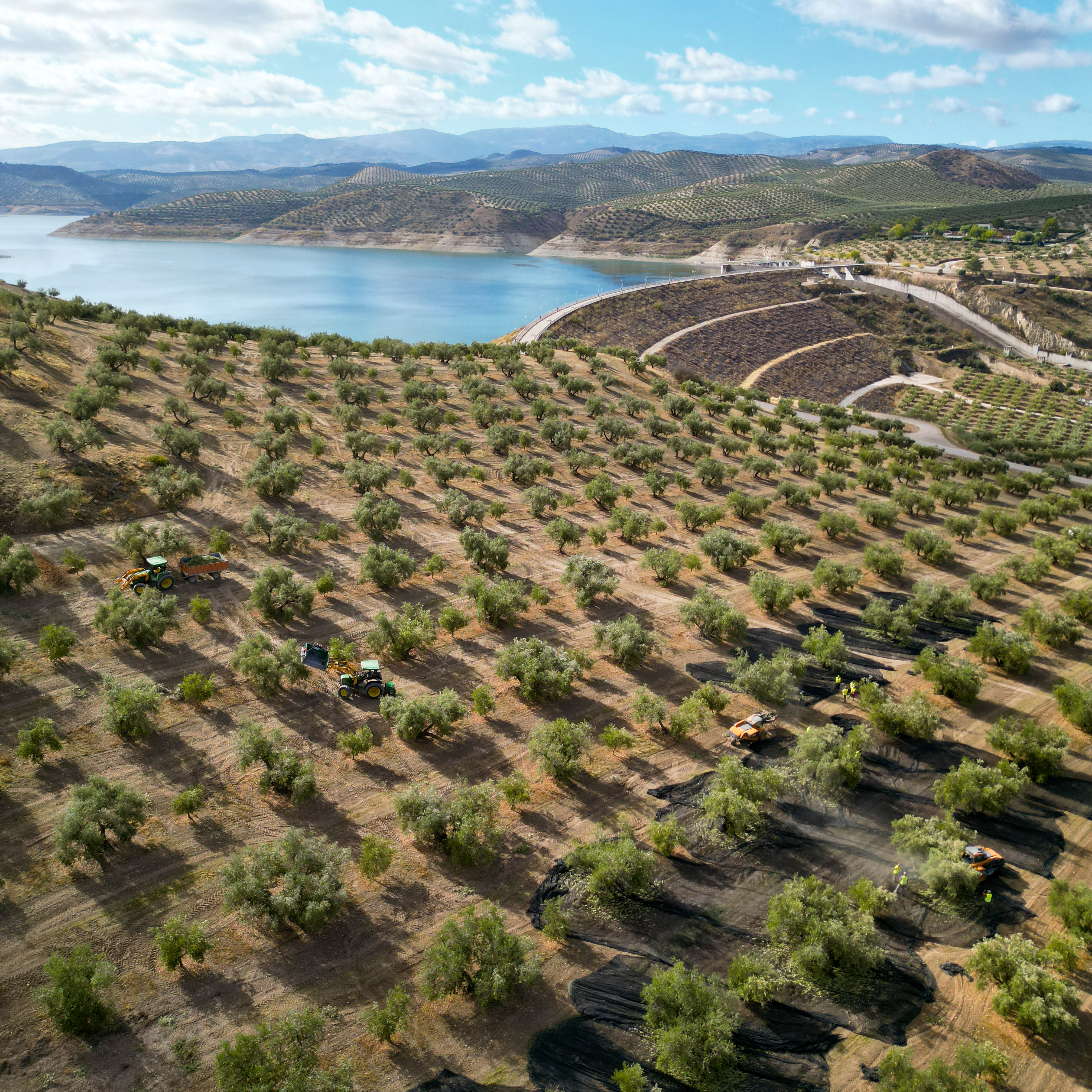 L'EVOO Féroce