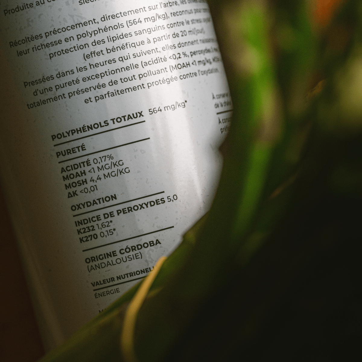 L'EVOO Féroce - Féroce