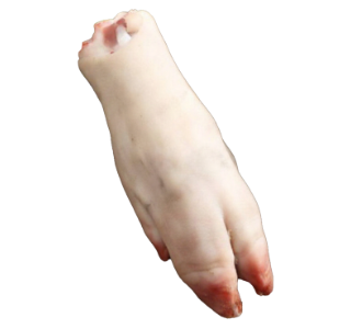 Gélatine & collagène