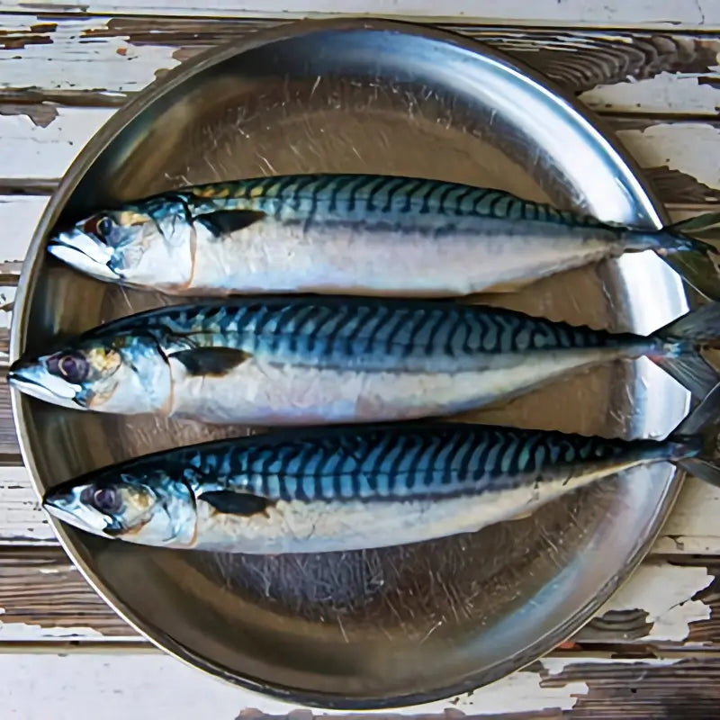 Petits poissons gras (maquereau, sardines)