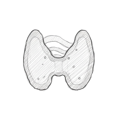 Concentré en Sélénium