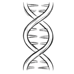 Riche en vitamines B