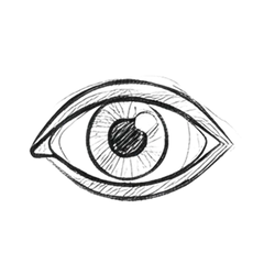 Source de Vitamines A, D et E